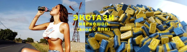 a pvp Каменка