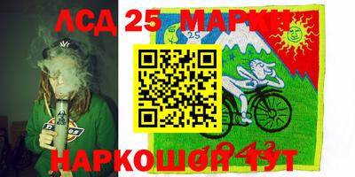 шишки Заводоуковск