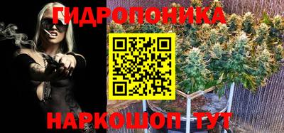 шишки Заводоуковск