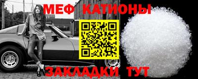 шишки Заводоуковск