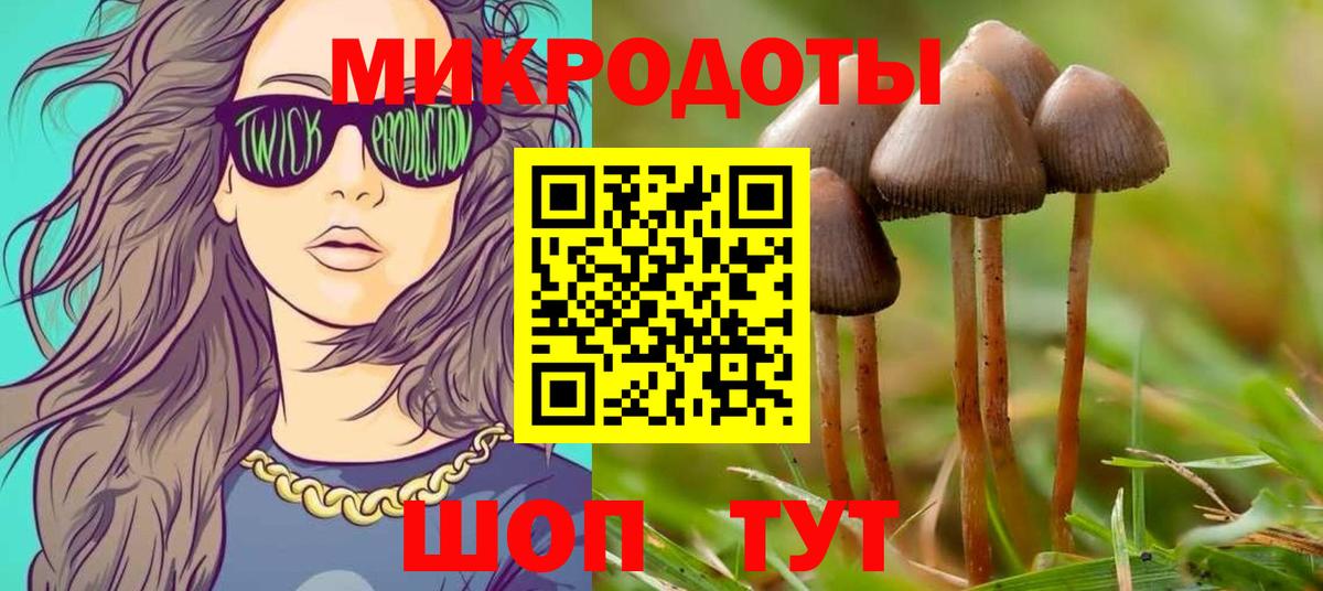 Ессентуки  Галлюциногенные грибы Psilocybine cubensis  Псилоцибиновые грибы Psilocybine cubensis  Вход с VPN 